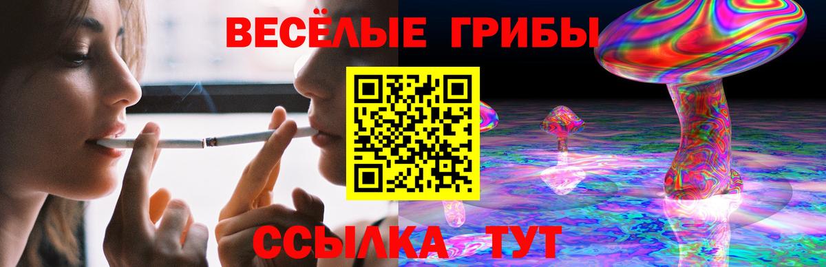 Галлюциногенные грибы Psilocybe  Вход с VPN  Дедовск 